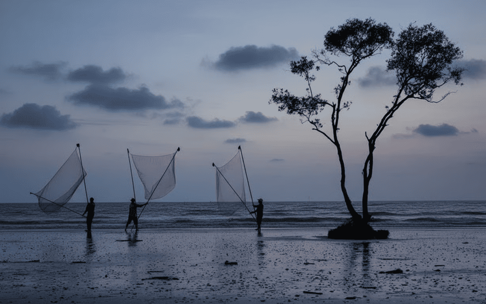 T&acirc;n Th&agrave;nh c&oacute; cả một v&ugrave;ng k&yacute; ức nghề biển b&igrave;nh dị m&agrave; đ&aacute;ng tr&acirc;n qu&yacute;